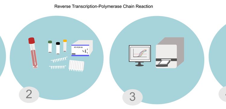 RT PCR Test - Anna Pharmacy