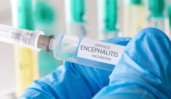 Japanese Encephalitis