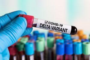COVID Variants in the UK