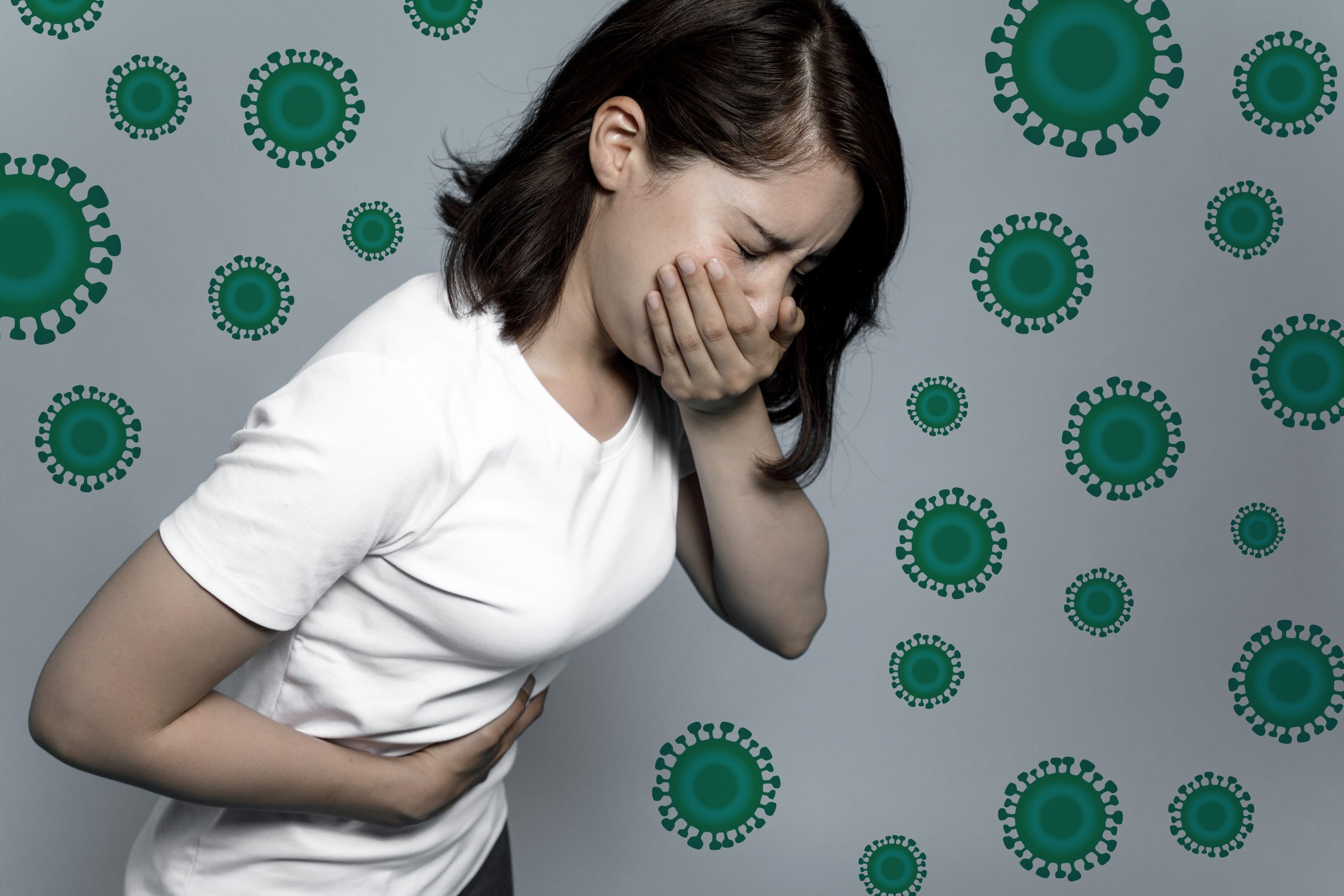 Typhoid vaccines