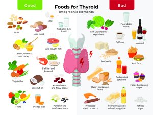 The Thyroid Diet