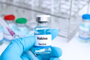 Rabies Vaccination in Sutton