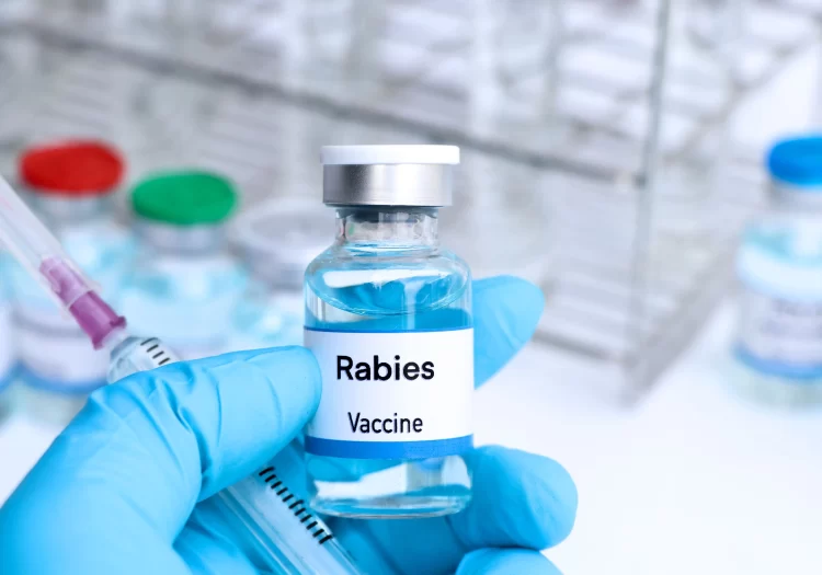 Rabies Vaccination in Sutton