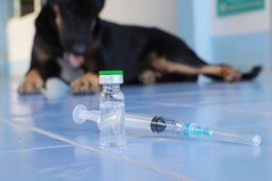 Rebies Vaccination - Anna Pharmacy