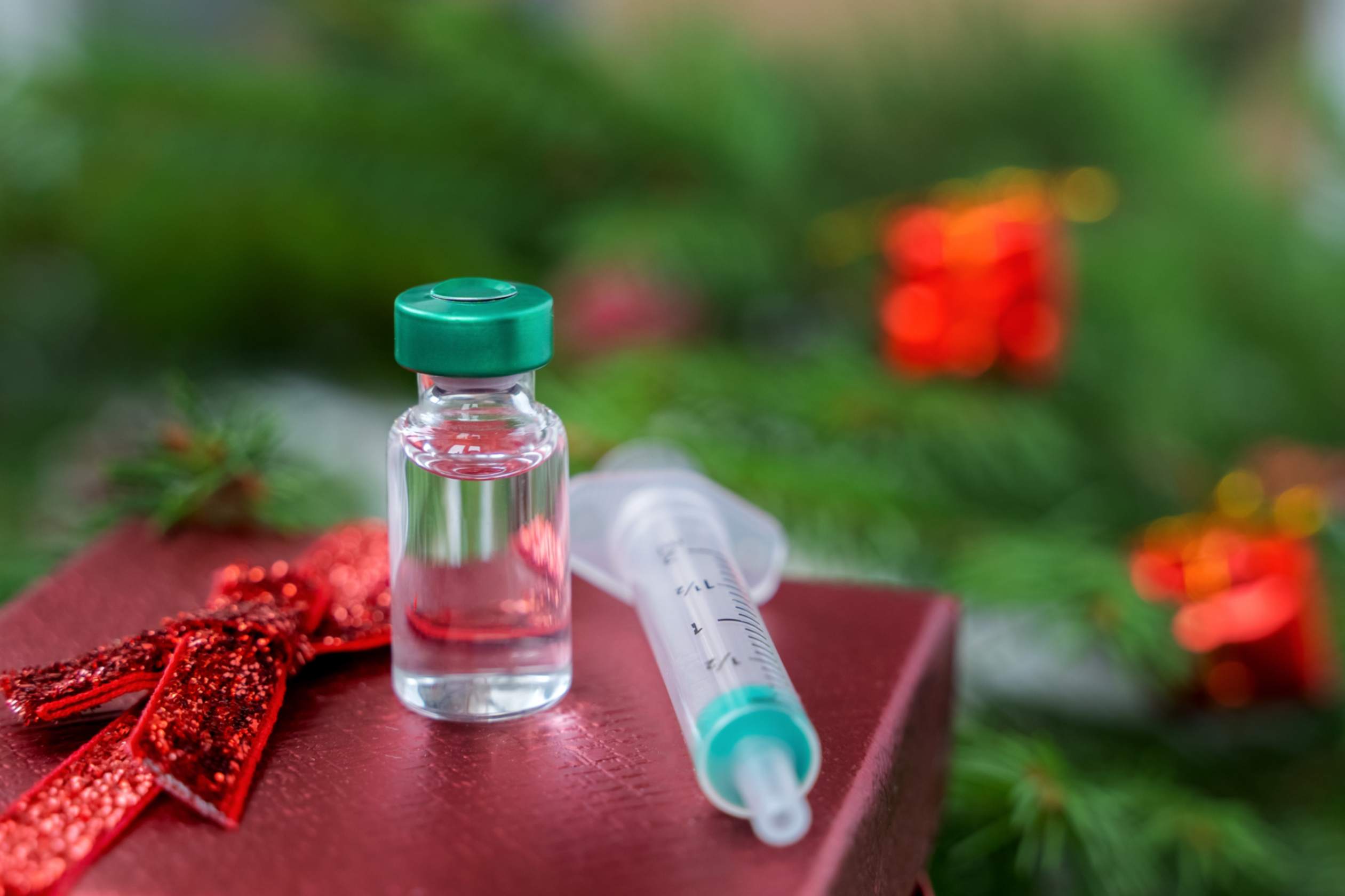 Celebrating a Tropical Christmas? Don’t Forget the Tick-Borne Encephalitis Vaccine