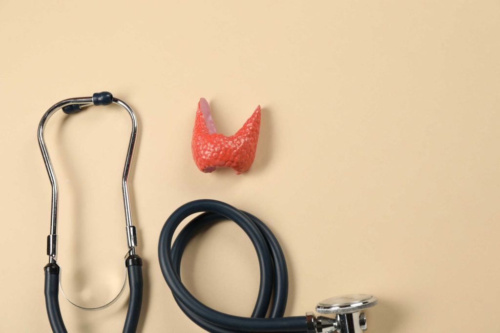Everything You Need to Know About Thyroid Function Tests