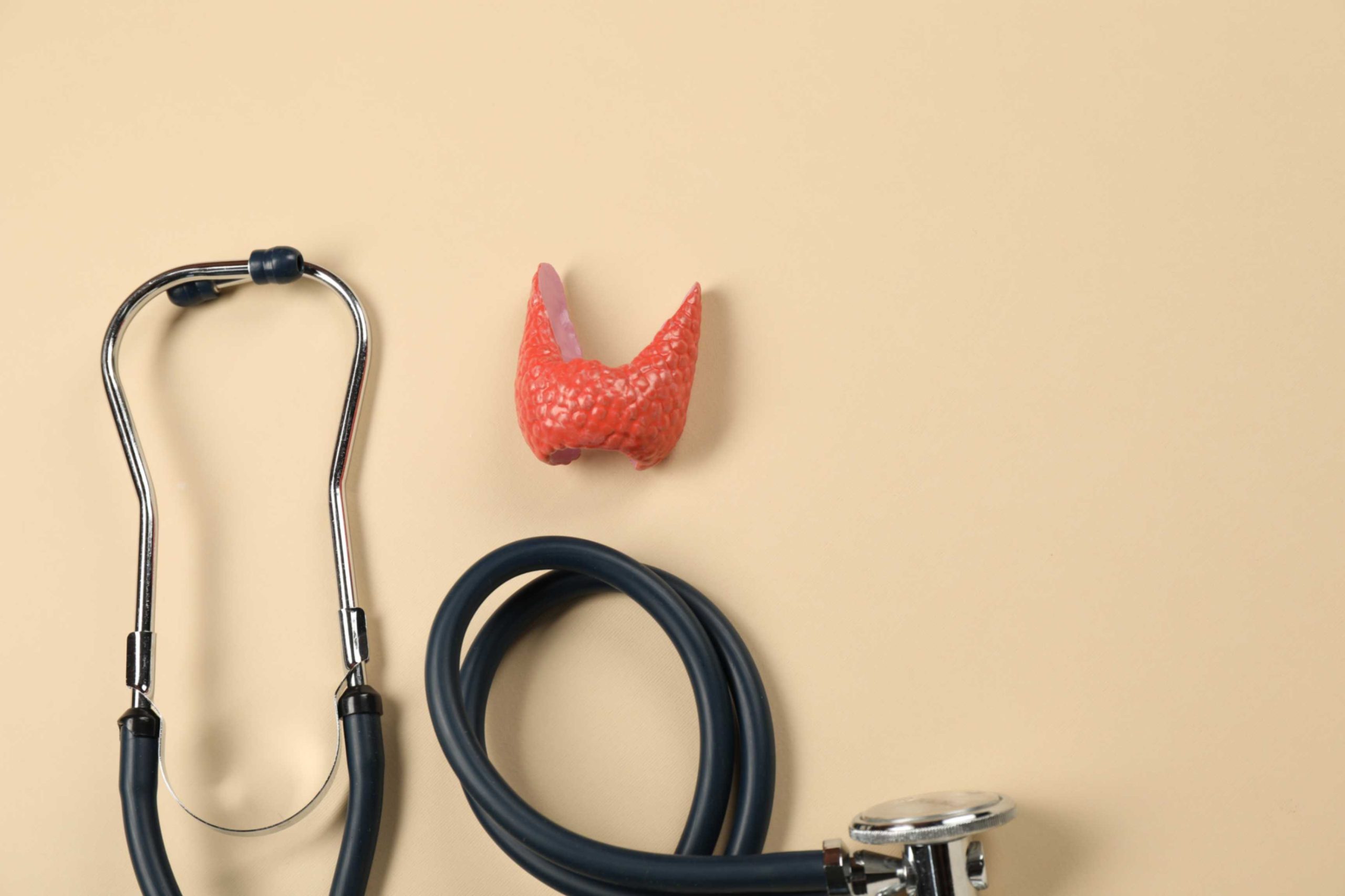 Everything You Need to Know About Thyroid Function Tests