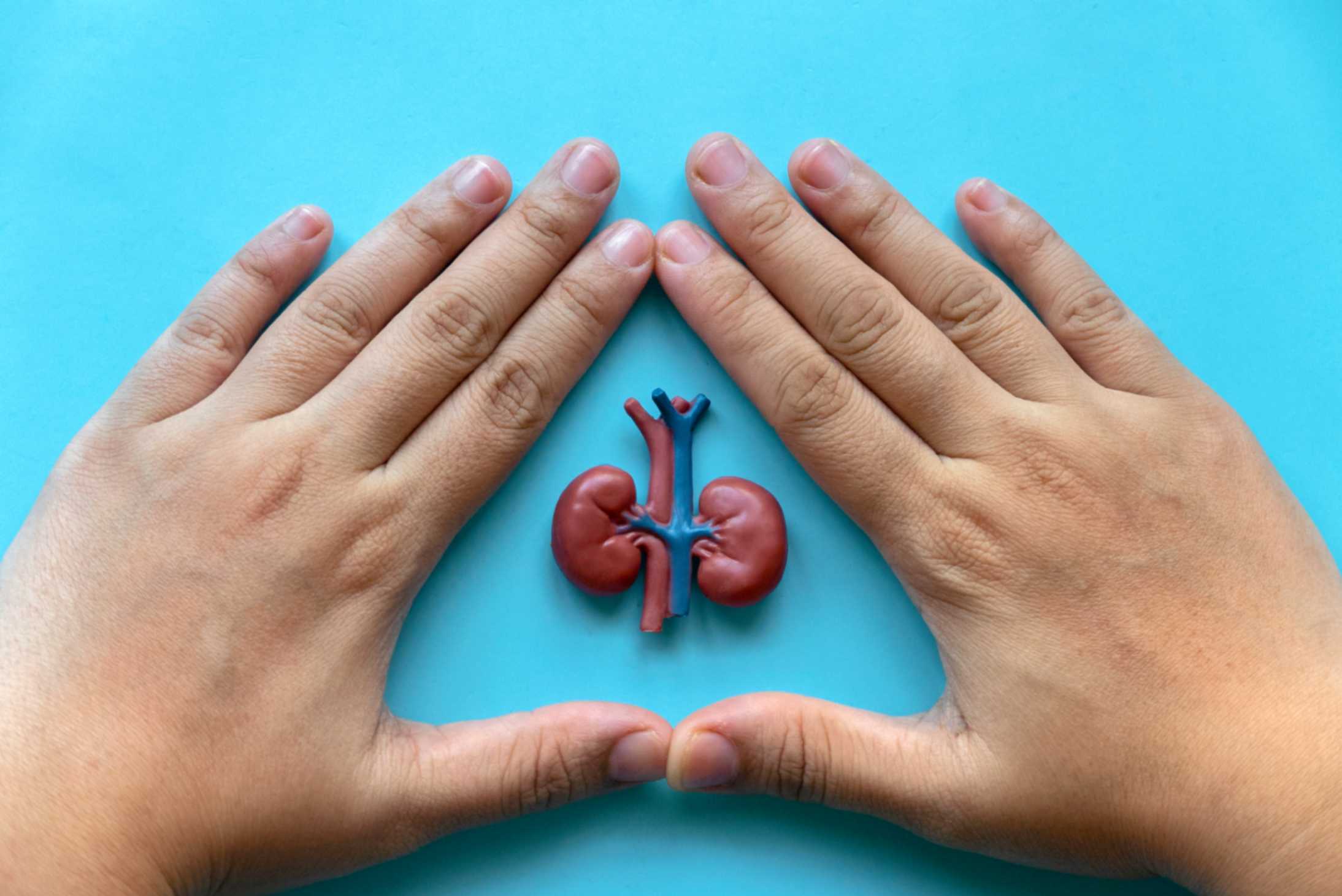 10 Signs You Should Get a Kidney Function Test