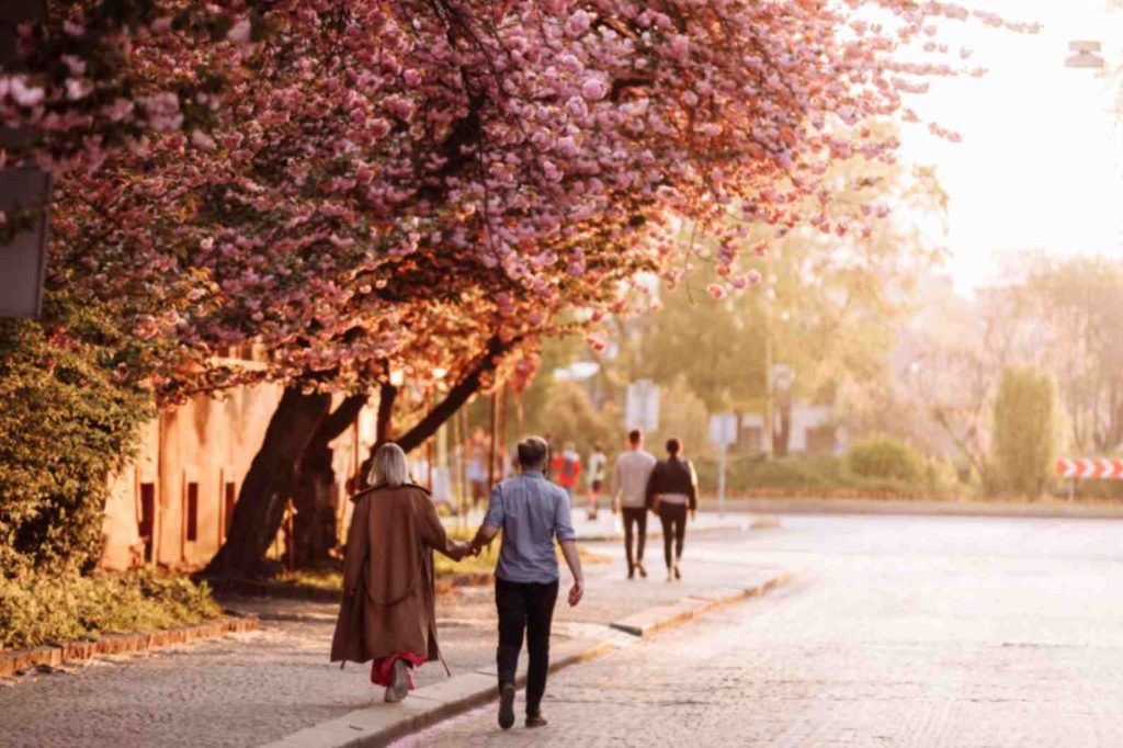 Why Is Cholera More Common in Spring? Expert Insights & Prevention