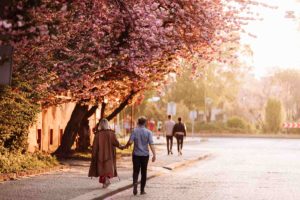 Why Is Cholera More Common in Spring? Expert Insights & Prevention