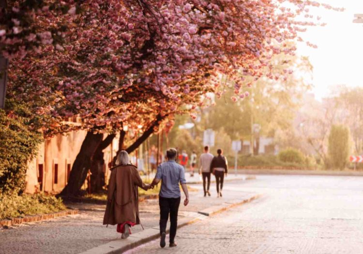 Why Is Cholera More Common in Spring? Expert Insights & Prevention