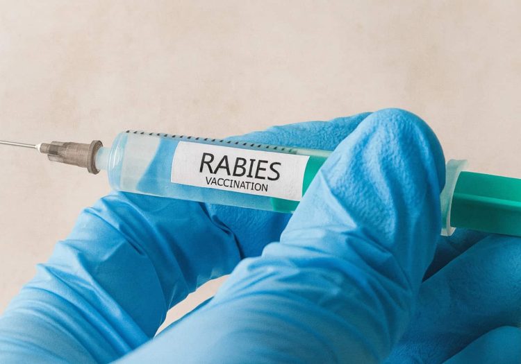Rabies vaccine protection duration and booster advice