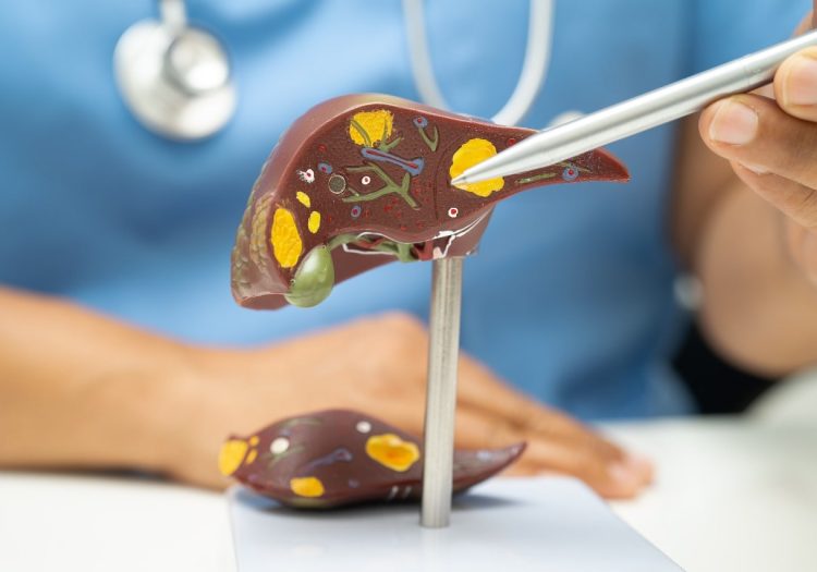 Pre-travel hepatitis vaccination advice